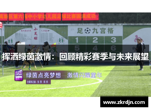 挥洒绿茵激情：回顾精彩赛季与未来展望