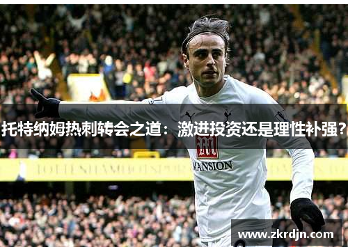 托特纳姆热刺转会之道：激进投资还是理性补强？